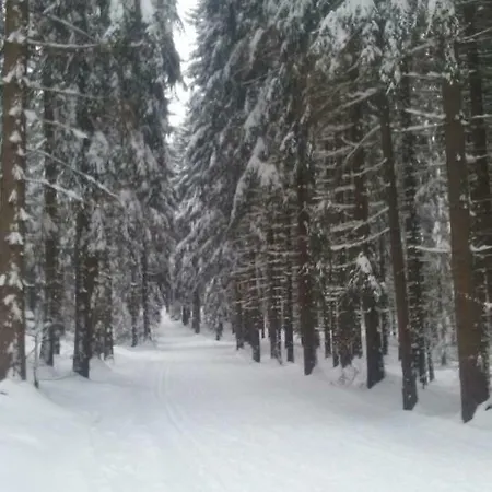 Medvedin 106 Spindleruv Mlyn