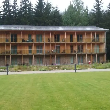 Apartmán Medvědín 106 *