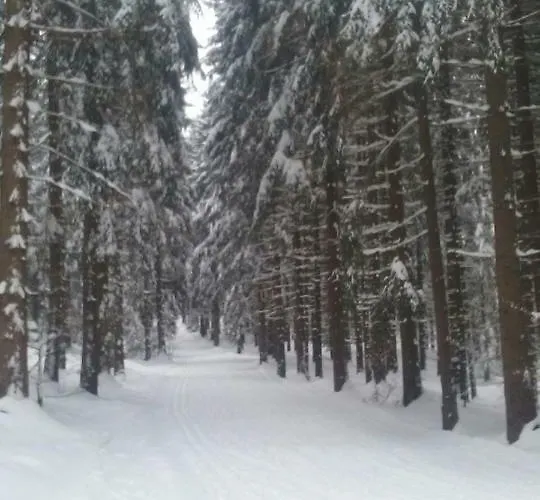 Medvědín 106 Špindlerŭv Mlýn